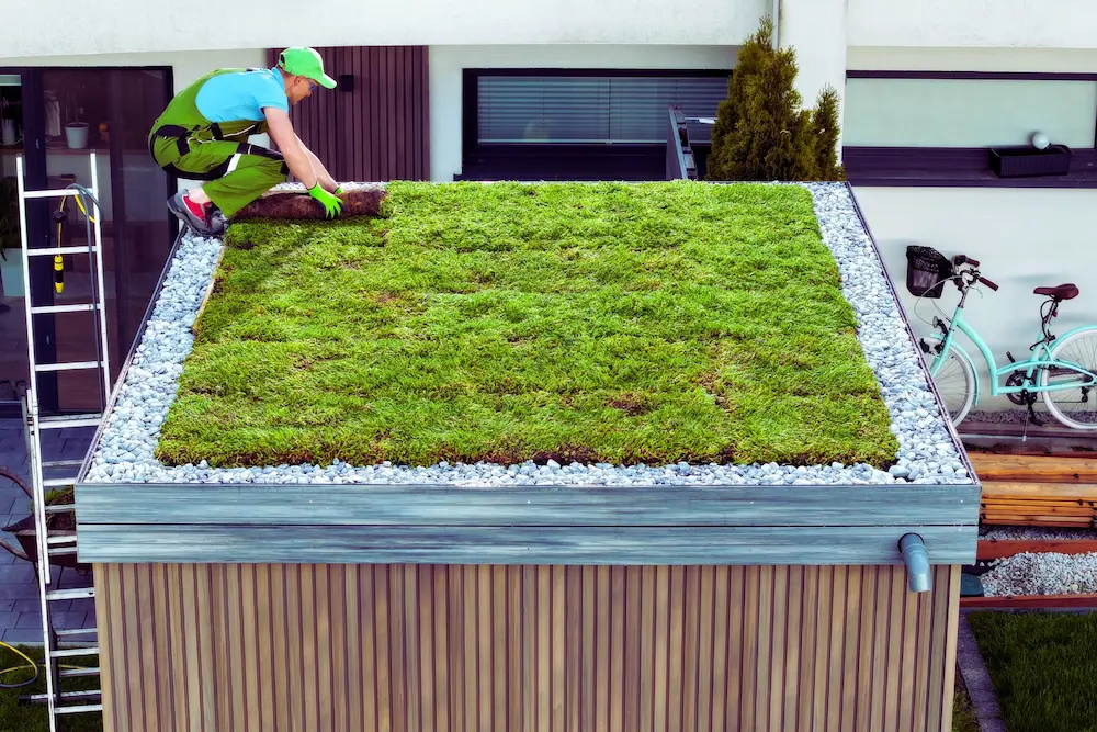 Figure 3- Green Roof
